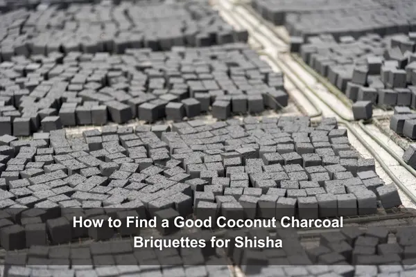 Best Coconut Charcoal Briquettes for Shisha