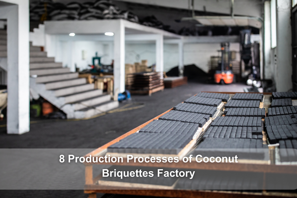 The best Coconut Briquettes Factory
