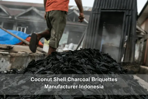 coconut shell charcoal price
