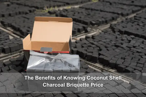 conut shell charcoal briquettes-min