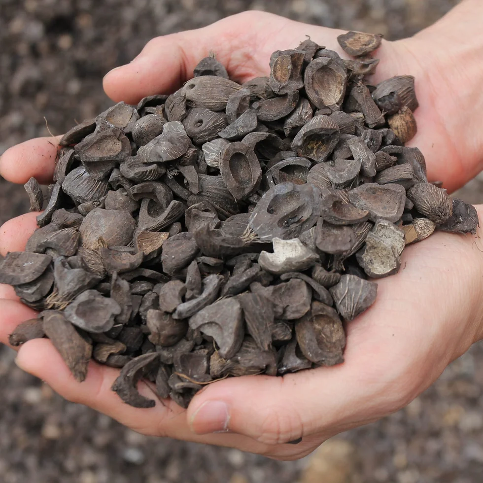 Palm Kernel Shell Factory